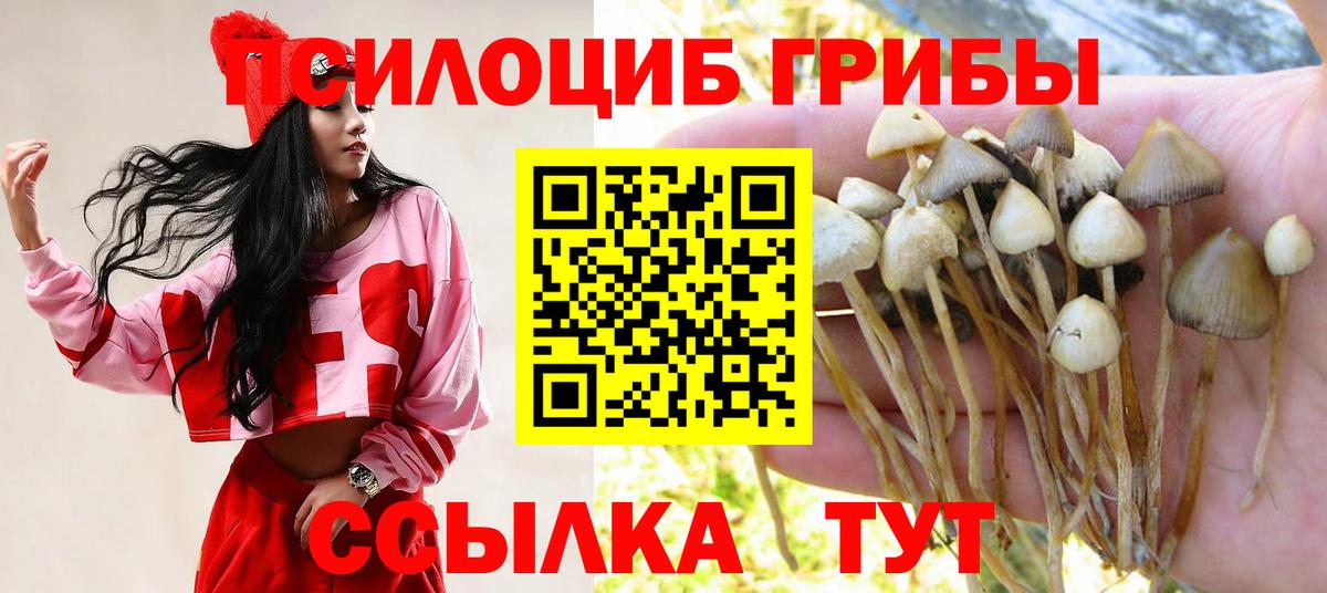 Галлюциногенные грибы Psilocybe  Галлюциногенные грибы Cubensis  Вход с VPN  Биробиджан 